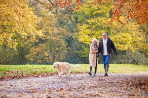 10 Active and Enriching Activities –...