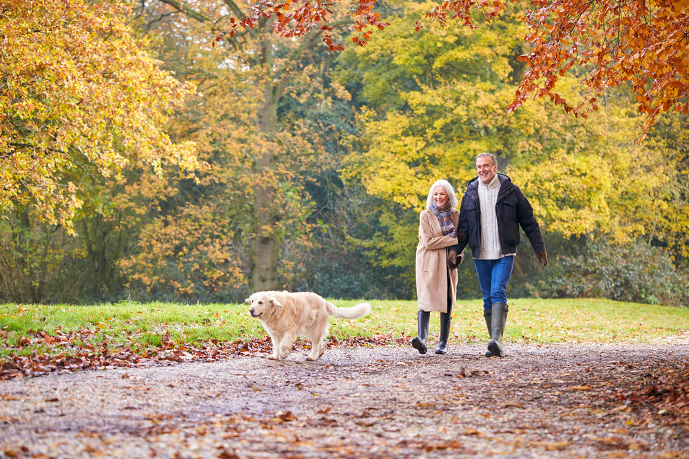 10 Active and Enriching Activities –...