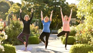 6 Elements that Keep Us Upright